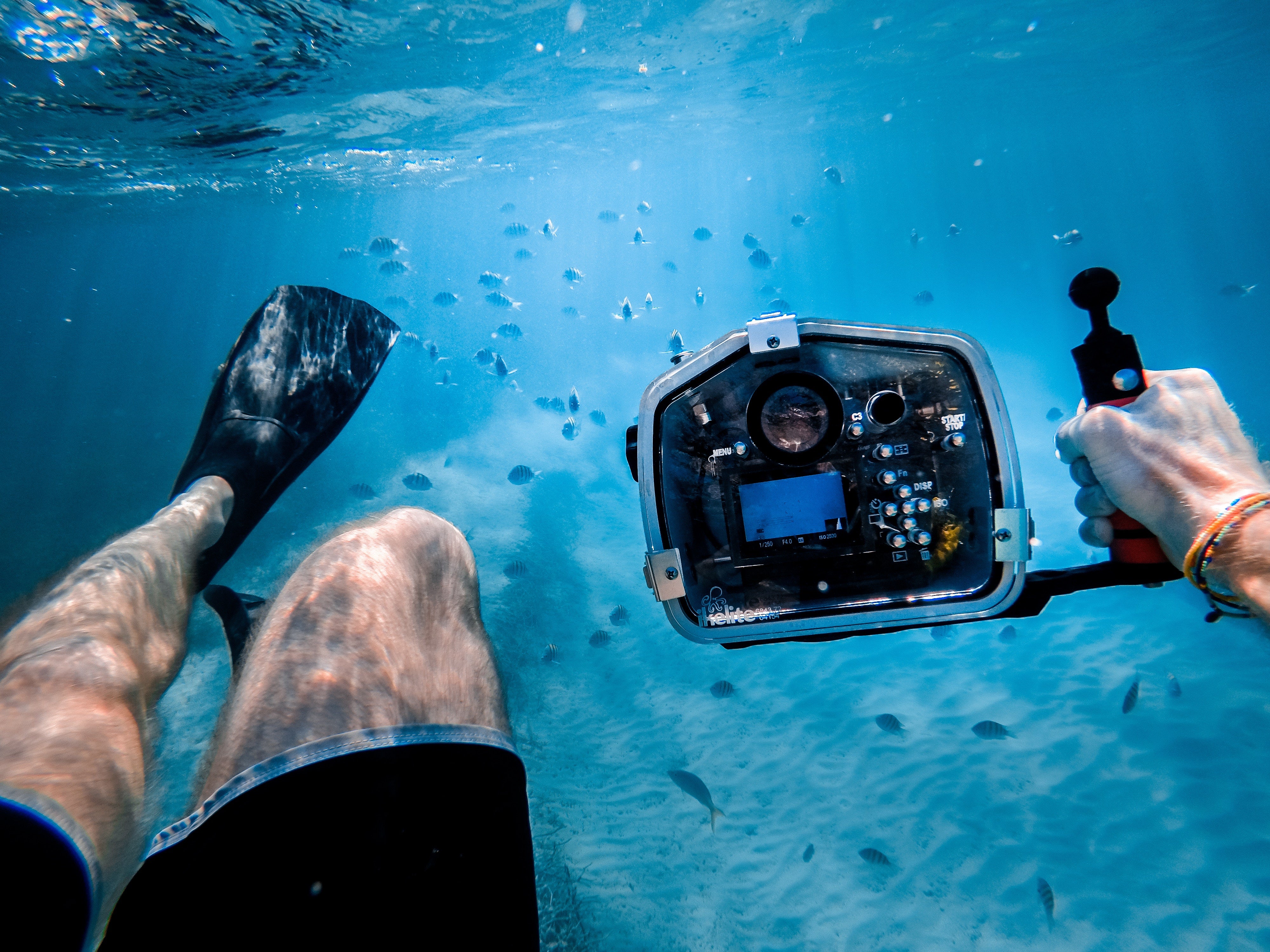 best underwater camera for snorkeling under $100