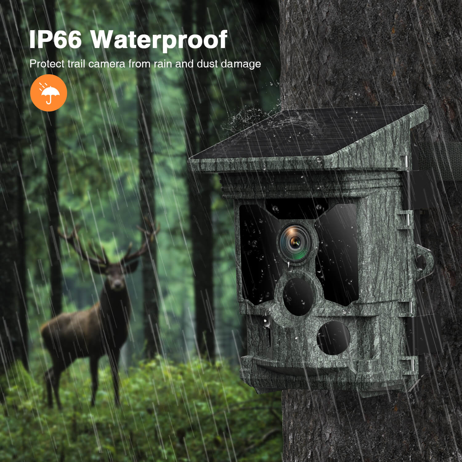 Campark T180 Solar-Powered Trail Camera  36MP 4K Wi-Fi Bluetooth – Campark  - Focus on Cameras